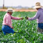 Compliant farmers could face fewer inspections under new water pollution proposals