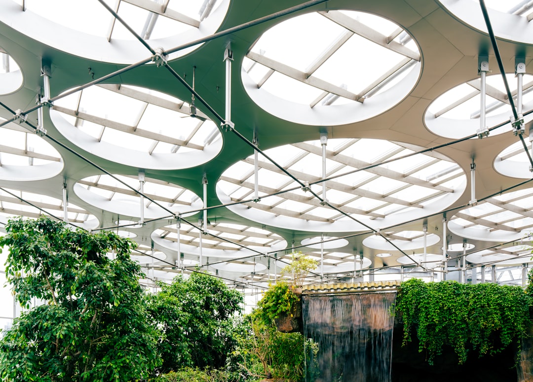 Eco Friendly Interior Design Trends