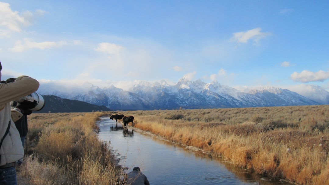 Regional Wildlife Tracking Technology