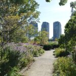 Urban Community Garden Frameworks and Rights
