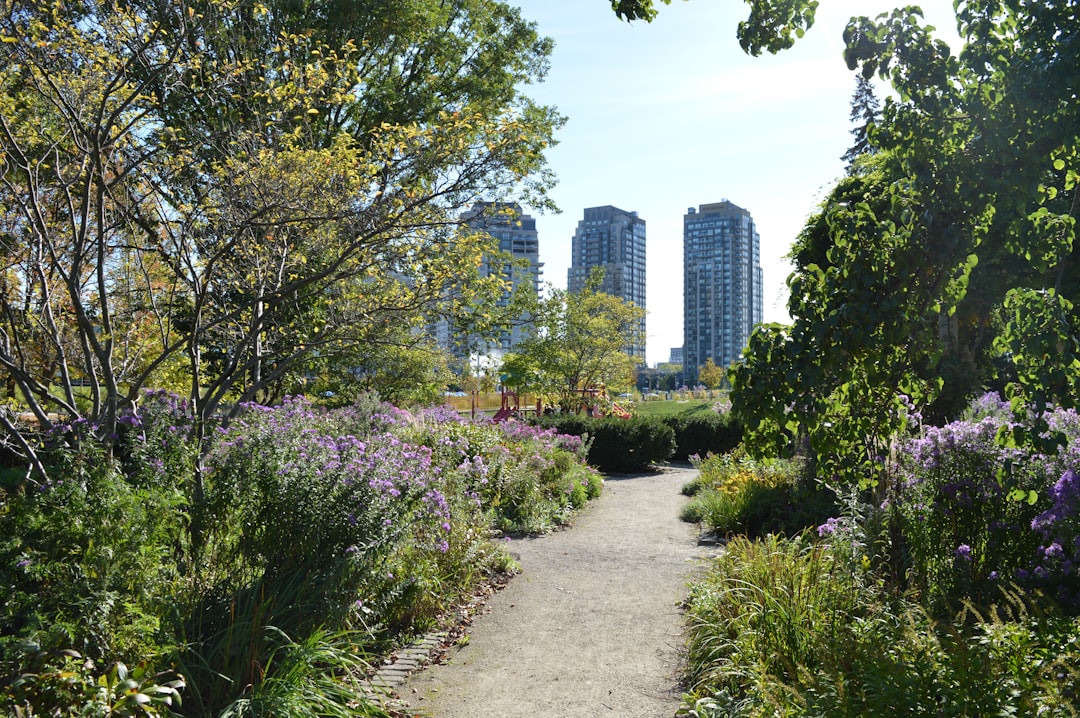 Urban Community Garden Frameworks and Rights