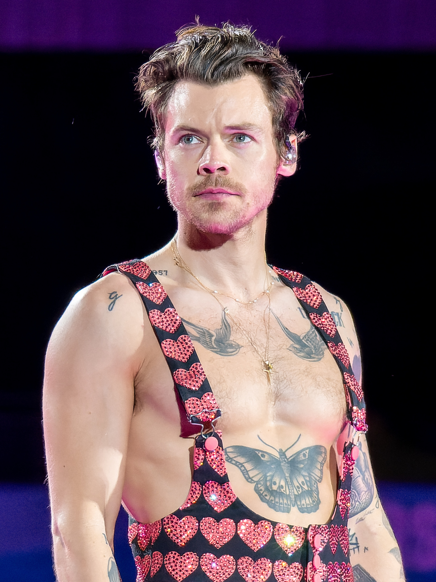 Harry Styles receives Guinness World Record for longest Wembley Stadium run