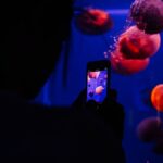 Rashid Sheriff Captures Award-Winning Underwater Image with Smartphone
