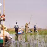 Regional Wetland Tracking Applications and Data