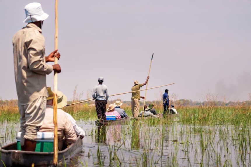 Regional Wetland Tracking Applications and Data
