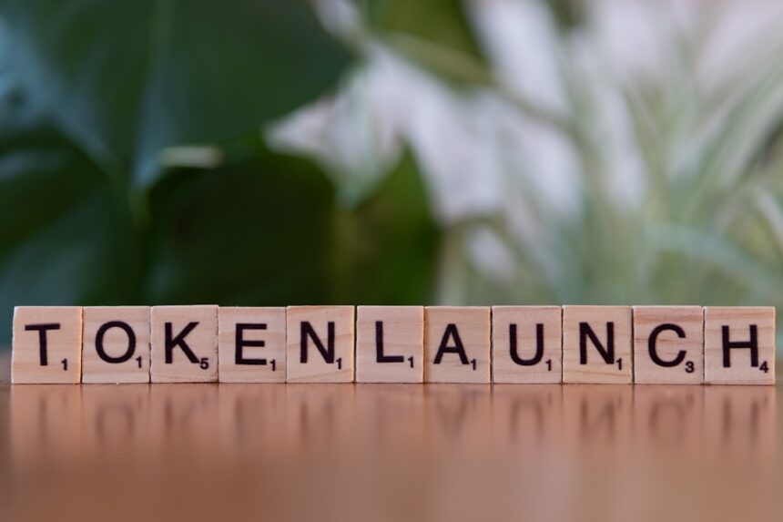 Small Business Tokenization Tools and Setup