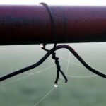 Small Scale Web Encryption Tools and Setup